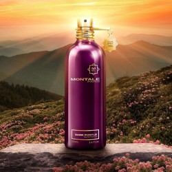 Montale Dark Purple Edp Unisex Parfüm 100 Ml Montale Dark Purple Edp Unisex Parfüm 100 Ml