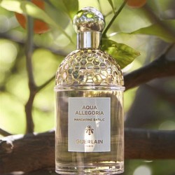 Guerlain Aqua Allegoria Mandarine Basilic Edt Kadın Parfüm 75 Ml Guerlain Aqua Allegoria Mandarine Basilic Edt Kadın Parfüm 75 Ml