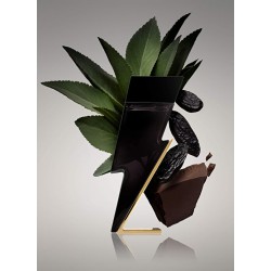 Carolina Herrera Bad Boy Edt Erkek Parfüm 100 Ml Carolina Herrera Bad Boy Edt Erkek Parfüm 100 Ml